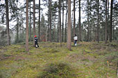 Umschneiden des neuen Maibaums und Arbeiten im Wald am 06.01.2019