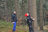 Umschneiden des neuen Maibaums und Arbeiten im Wald am 06.01.2019