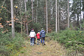 Umschneiden des neuen Maibaums und Arbeiten im Wald am 06.01.2019