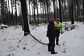 Umschneiden des neuen Maibaums und Arbeiten im Wald am 06.01.2019