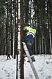 Umschneiden des neuen Maibaums und Arbeiten im Wald am 06.01.2019