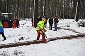 Umschneiden des neuen Maibaums und Arbeiten im Wald am 06.01.2019