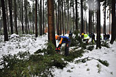 Umschneiden des neuen Maibaums und Arbeiten im Wald am 06.01.2019