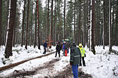 Umschneiden des neuen Maibaums und Arbeiten im Wald am 06.01.2019