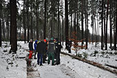 Umschneiden des neuen Maibaums und Arbeiten im Wald am 06.01.2019