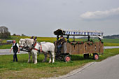 Maibaumaufstellen in Soyen am 30.04.2022