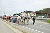 Maibaumaufstellen in Soyen am 30.04.2022