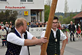 Maibaumaufstellen in Soyen am 30.04.2022